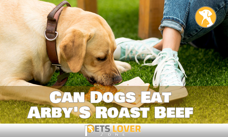 Can Dogs Eat Arby'S Roast Beef All Information