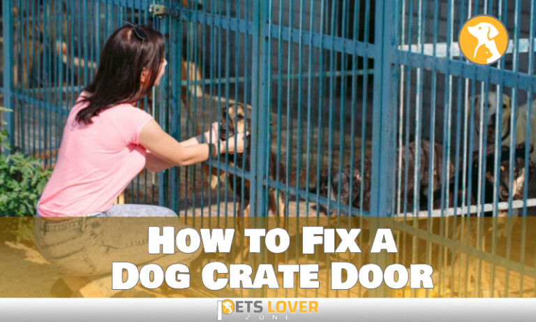 Image showcasing How to Fix a Dog Crate Door Like a Pro With Complete Guide