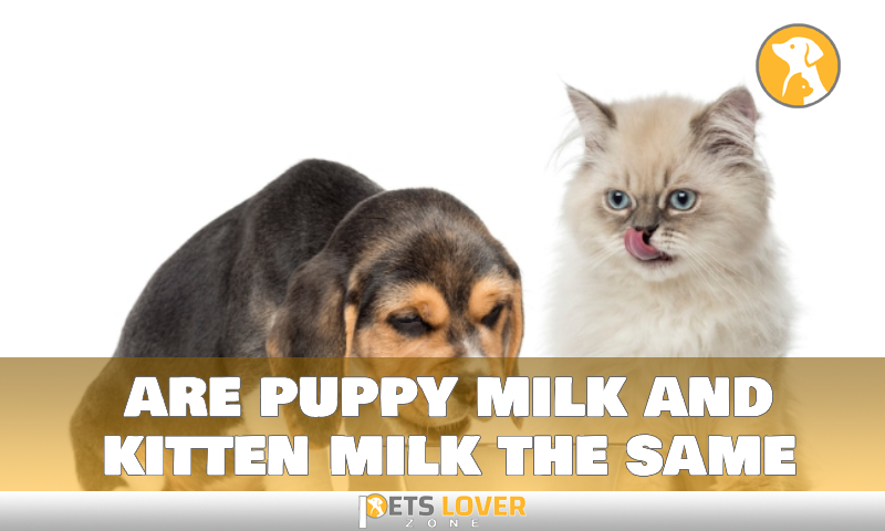 are puppy milk and kitten milk the same