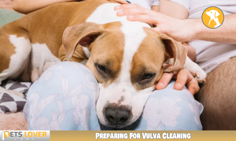 Preparing For Vulva Cleaning