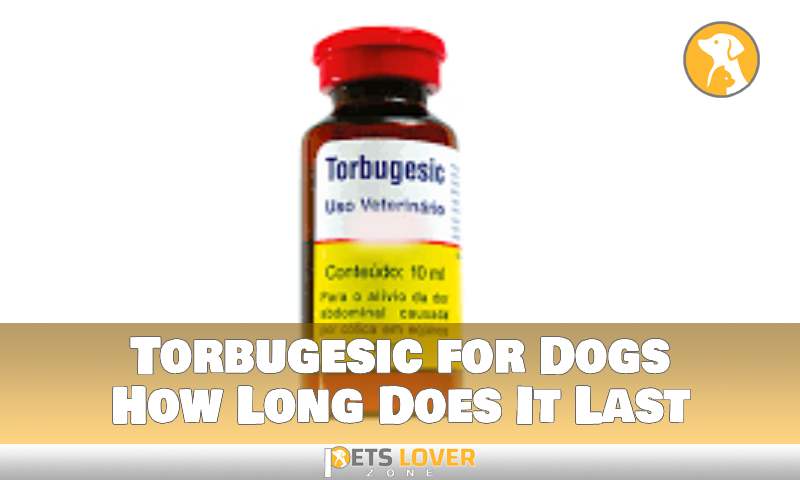 Torbugesic for Dogs How Long Does It Last